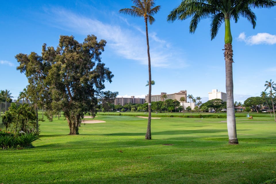 Well-maintained grass