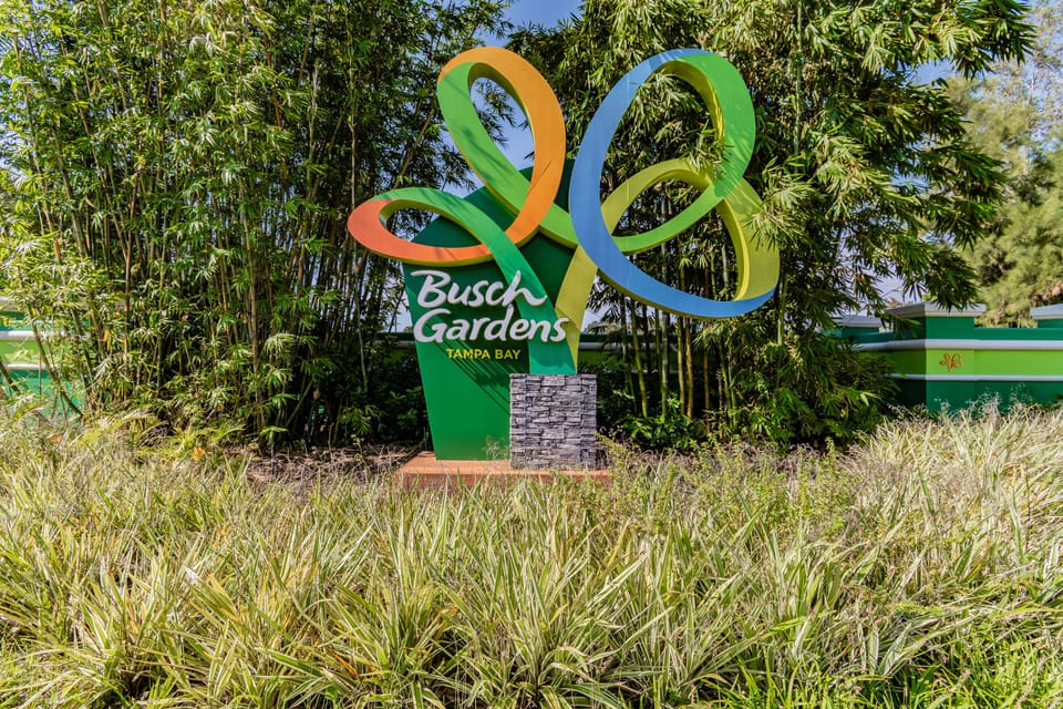 Close to Busch Gardens