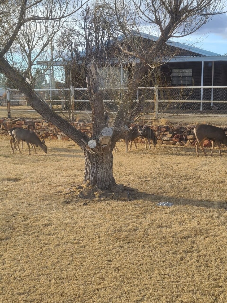 Property grounds