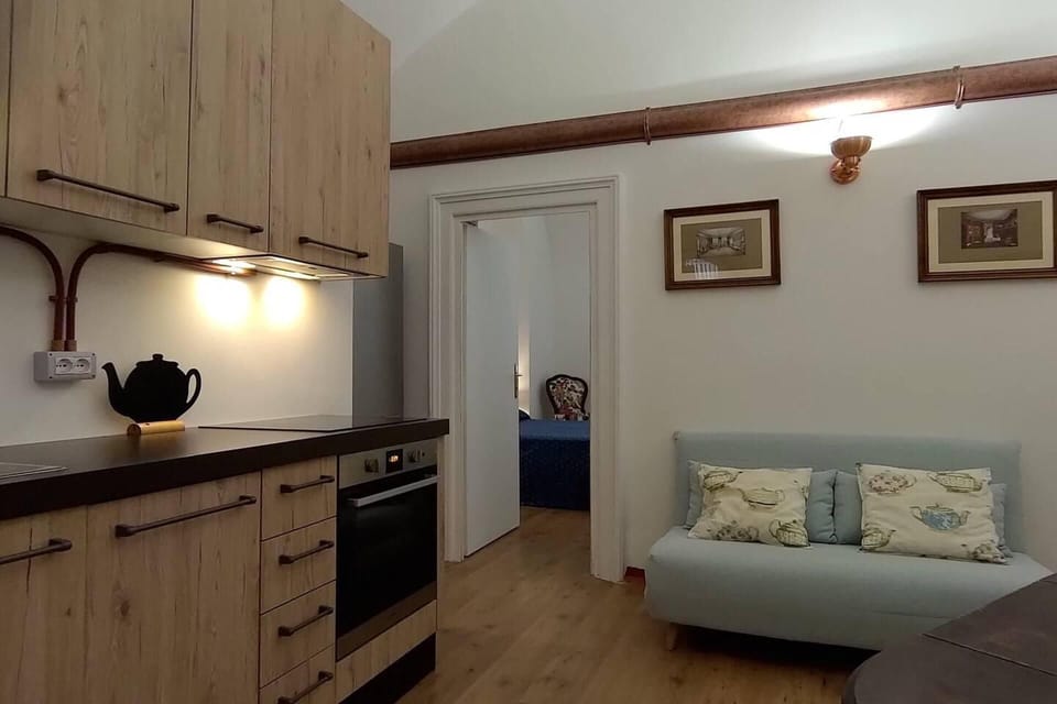 House | Private kitchen | Fridge, oven, stovetop, dishwasher