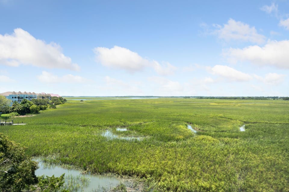 Lowcountry, Wide Open Views