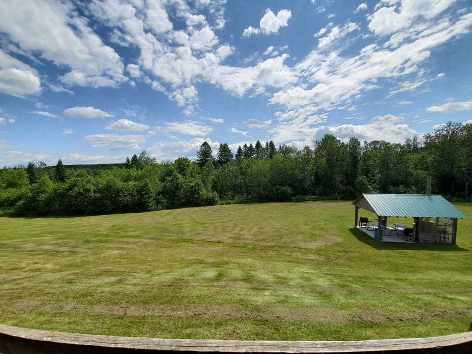 View from the porch! 