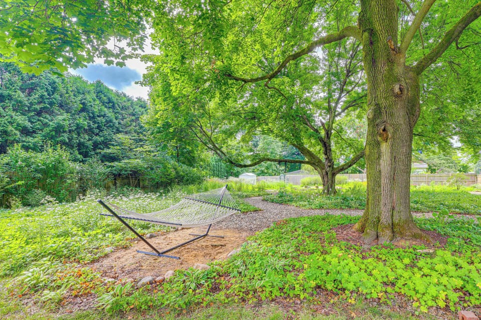 Yard Area | Hammock | Badminton | Tree Swing