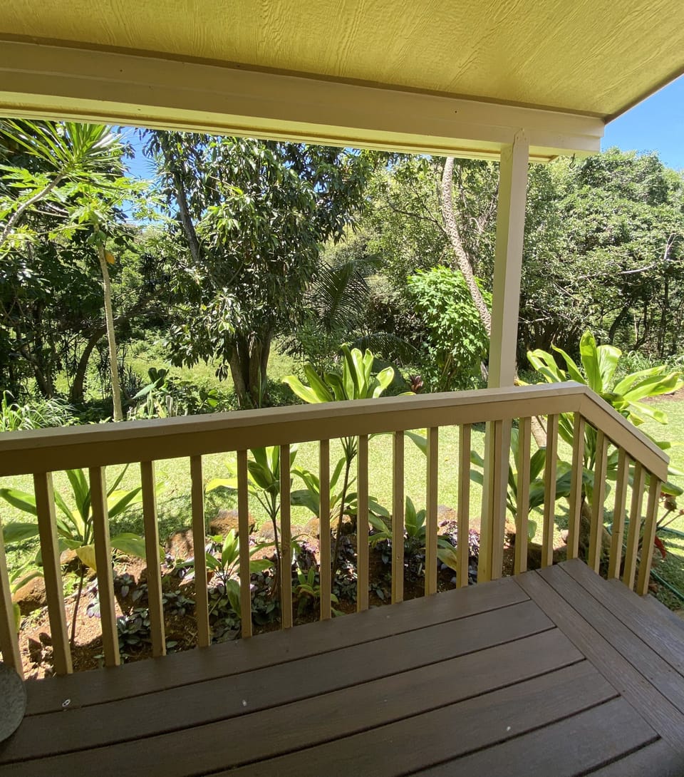 Back lanai jungle view