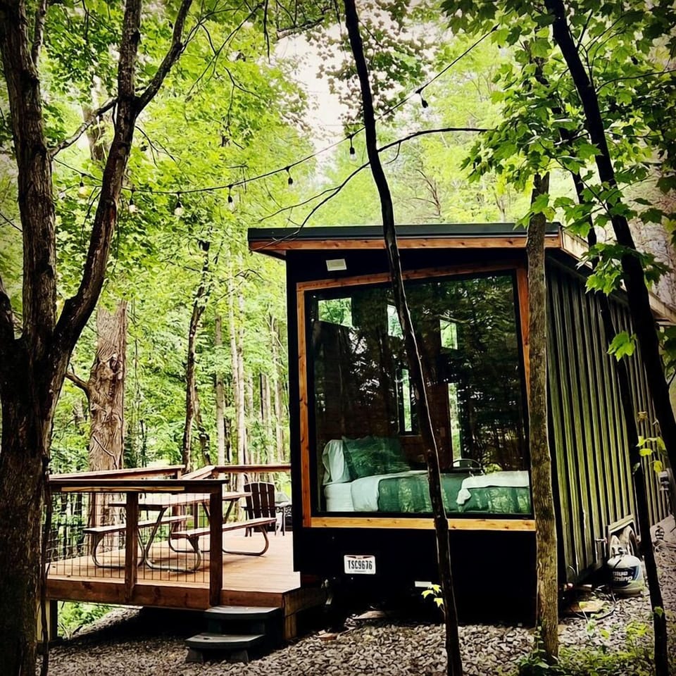 This is the view that many deer have of the Dogwood Tiny House!