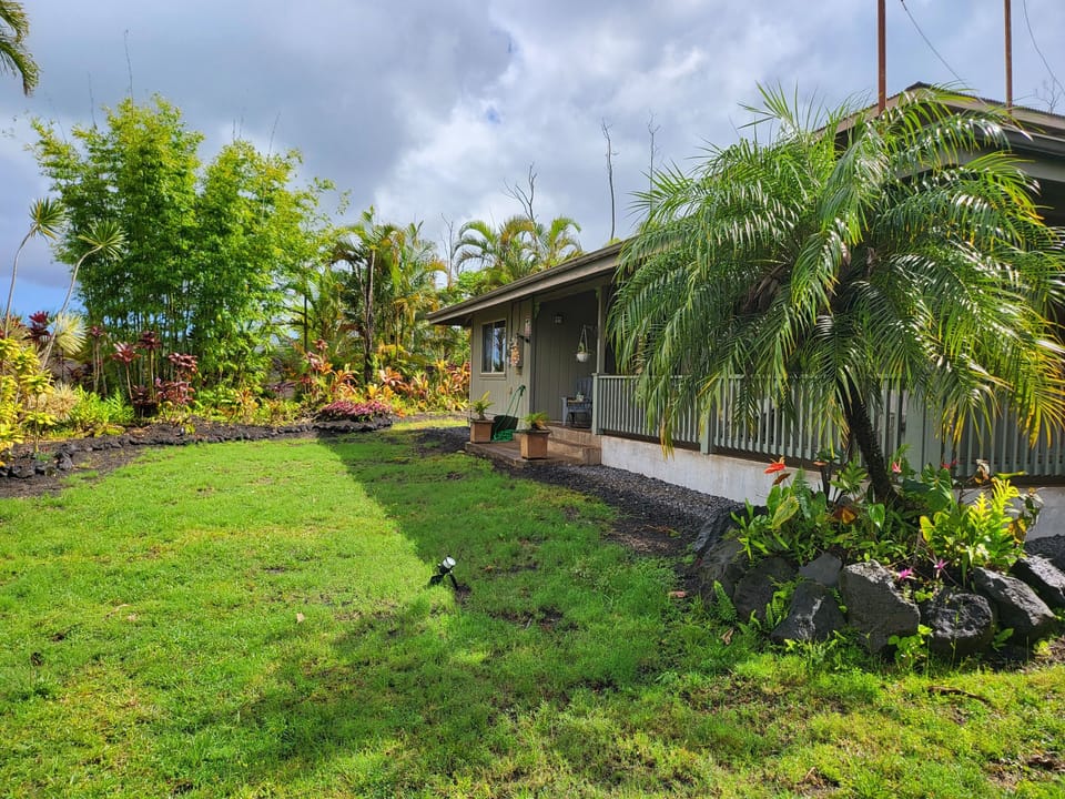 House backyard