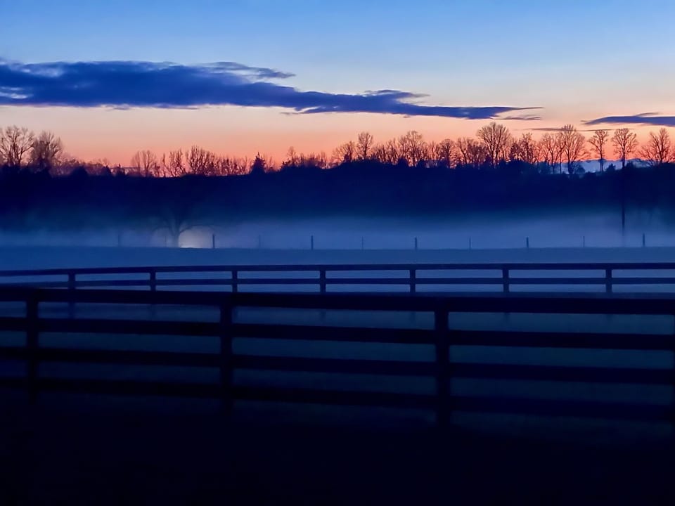 Misty morning view.