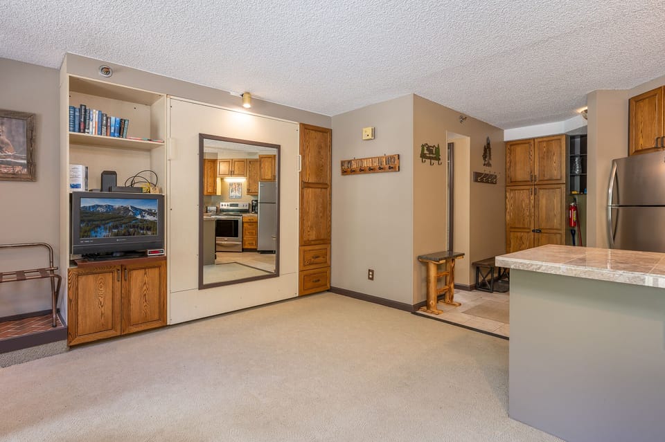 Living area with murphy bed closed