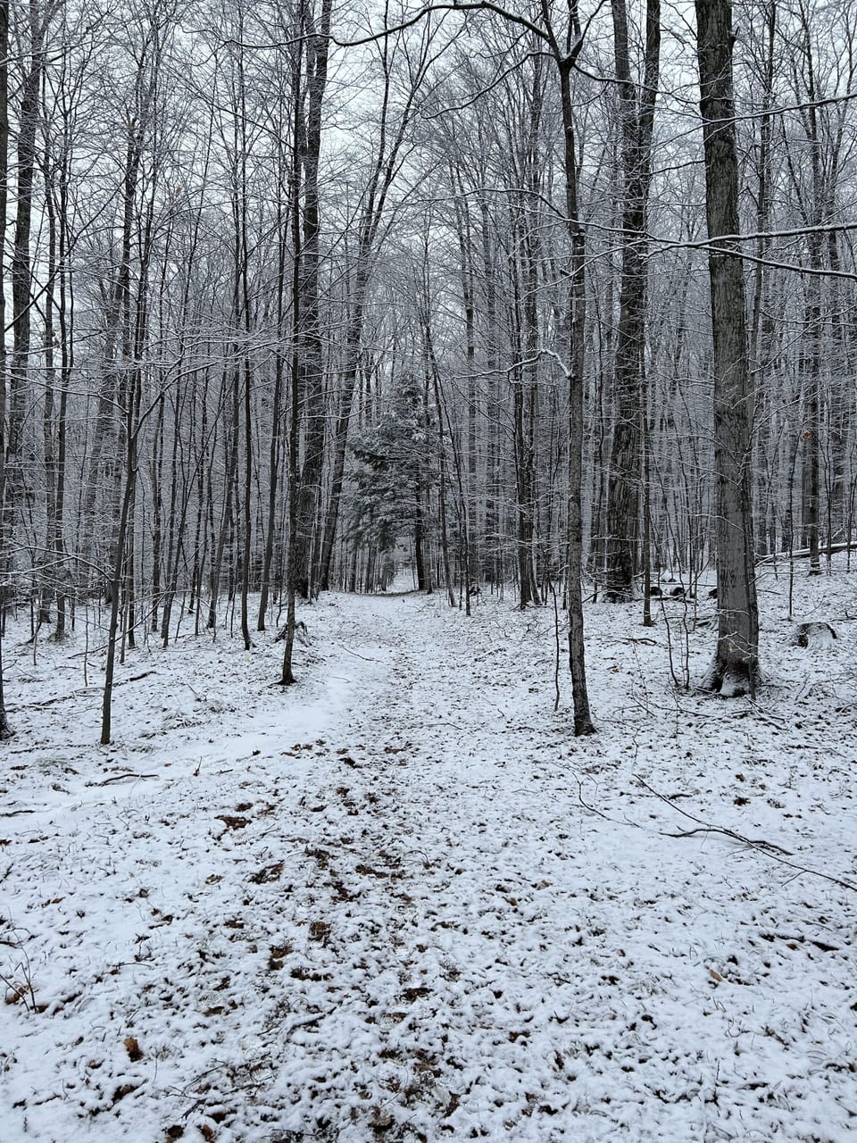 Winter Hiking in the back yard! 