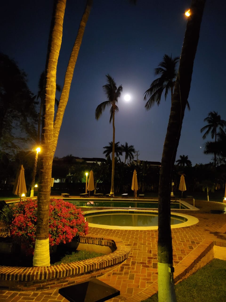 full moon and a night swim.