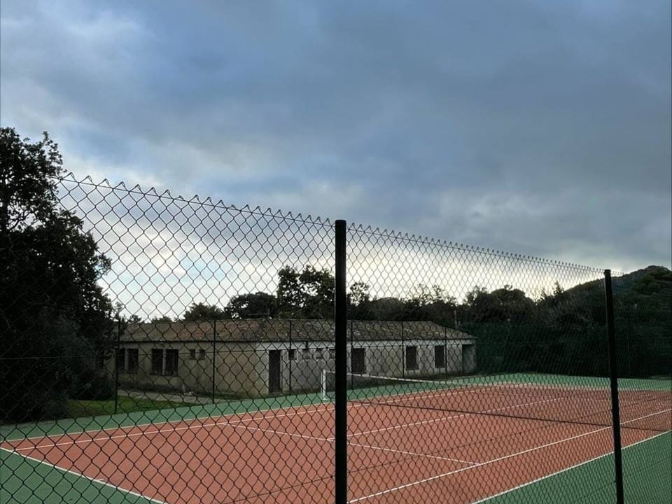 Sport court