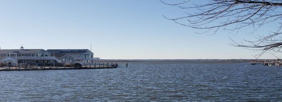 The Open Bay