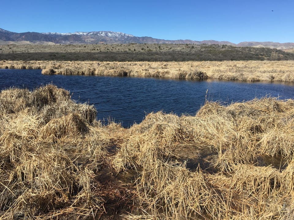 Tavasci Marsh in Dead Horse State Park - views of the Mingus Mountain