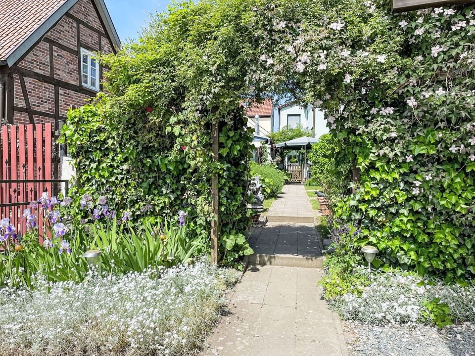 Plant, Building, Vegetation, Road Surface, Shrub, Grass, Window, Groundcover, Real Estate, Summer