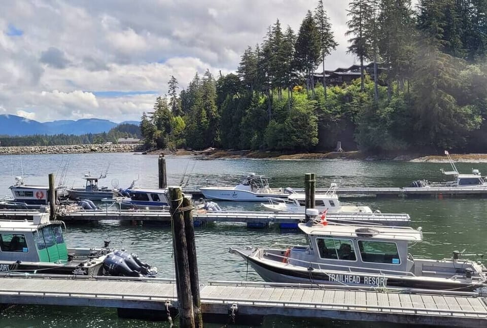 Government Dock looking to Wild Coast Cottages