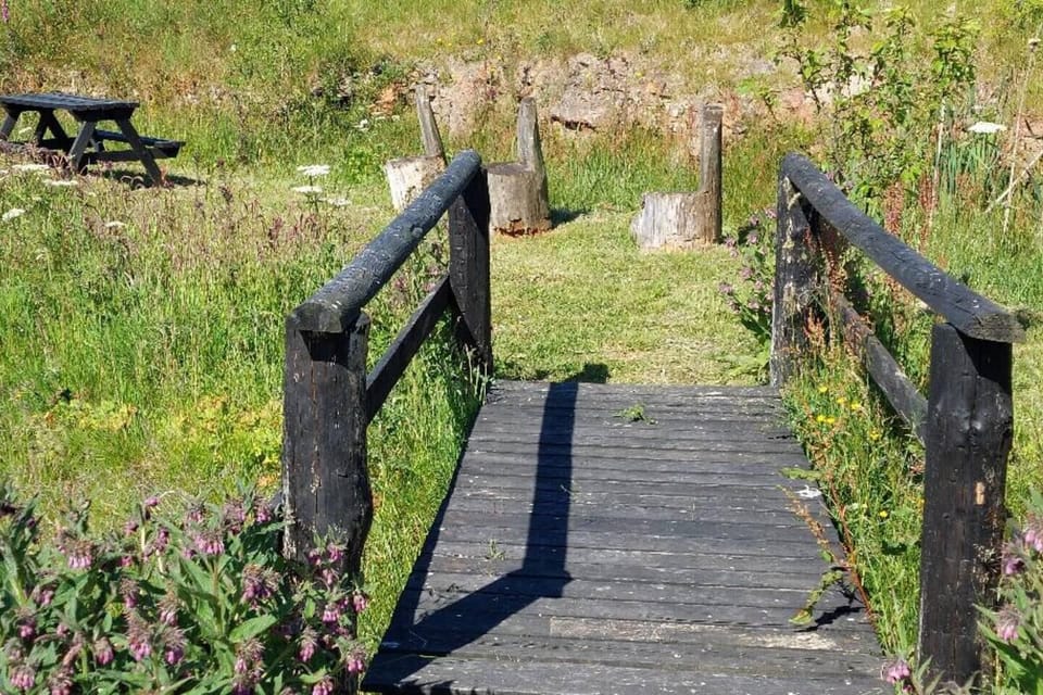 Image 10