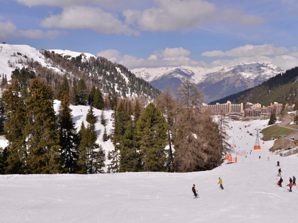 Snow and ski sports