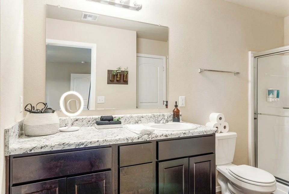Master Bathroom: 10X Magnifying LED Makeup Mirror - Ceramic Hair Straightener - Revlon Pro Hair Dryer - Black Makeup Towels
