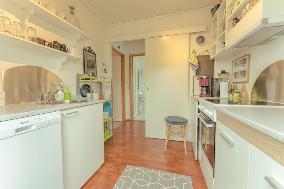 Standard Apartment | Private kitchen | Coffee/tea maker, fridge, microwave, oven
