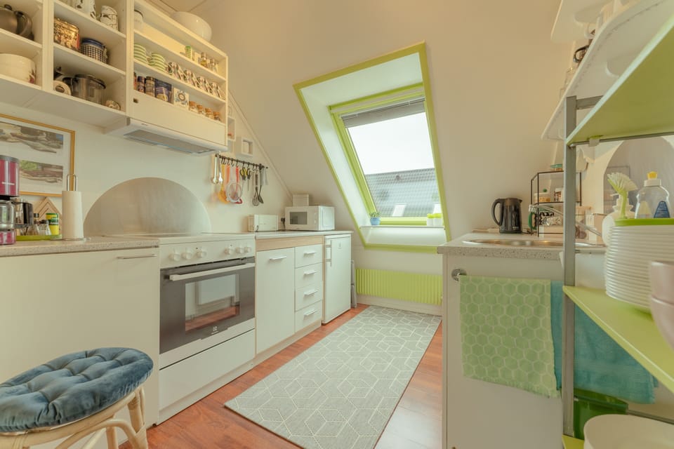 Standard Apartment | Private kitchen | Coffee/tea maker, fridge, microwave, oven
