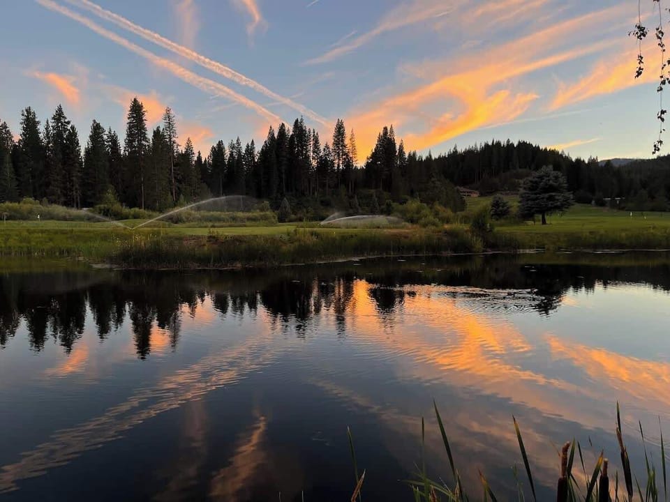 Your peace on the pond awaits