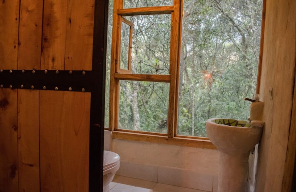 Bathtub, towels