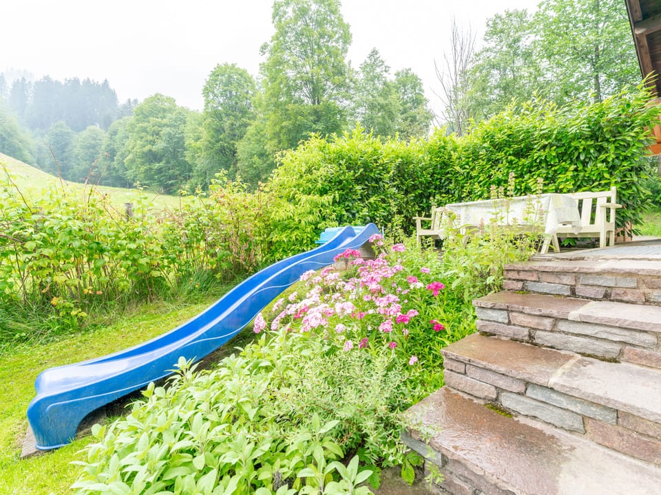 Garden [summer]
