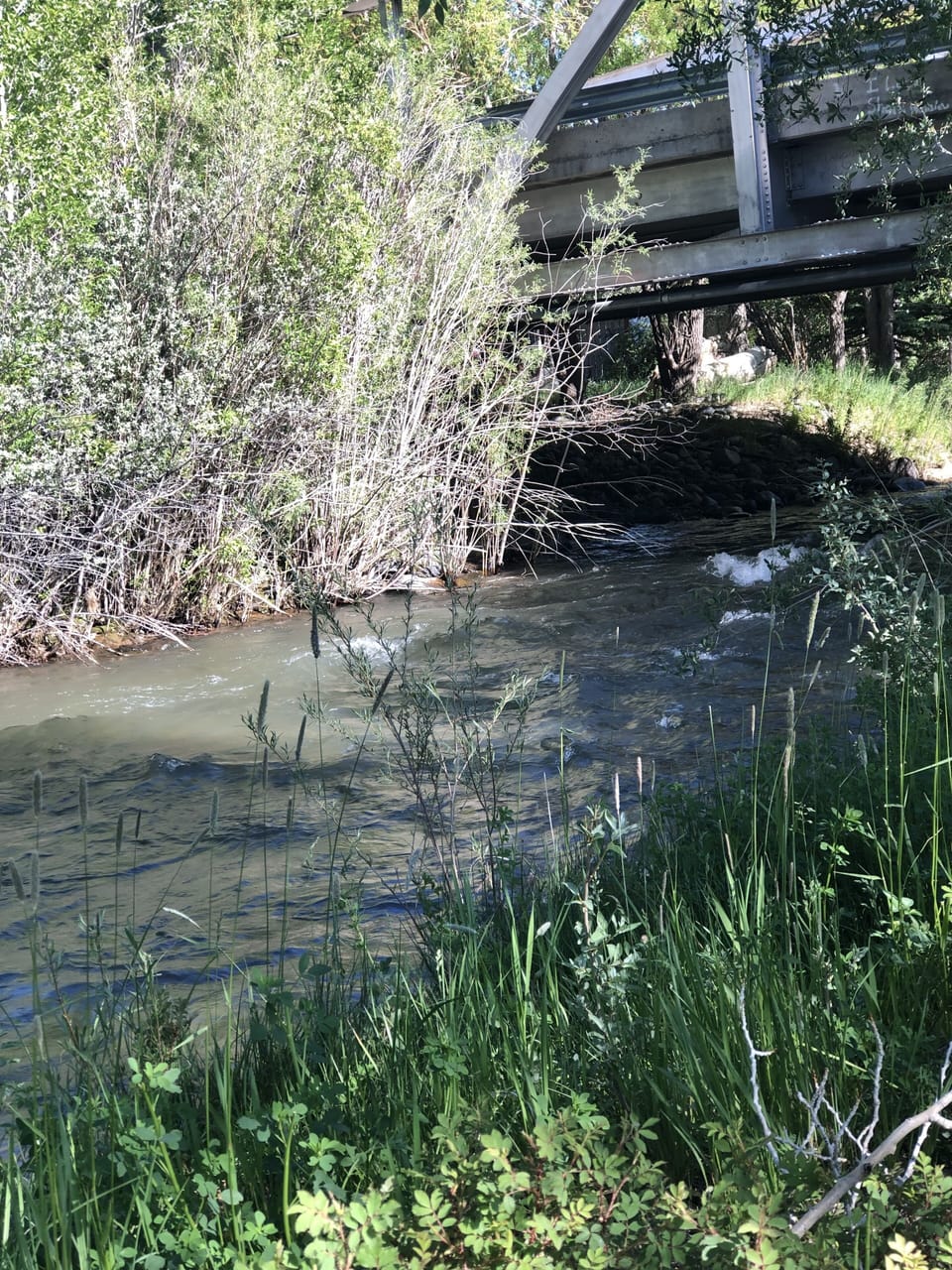 Located on Horse Creek.