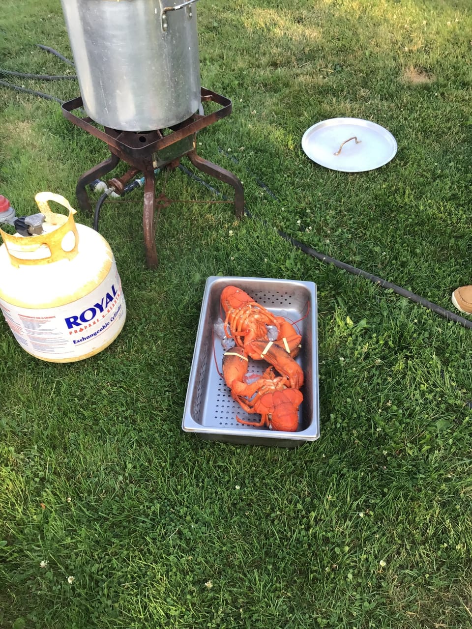 Food and drink