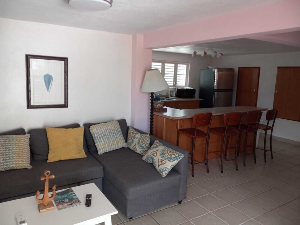 Basic Apartment | Private kitchen | Coffee/tea maker, fridge