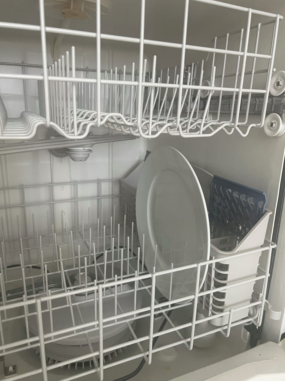 Dinner plates in dishwasher 