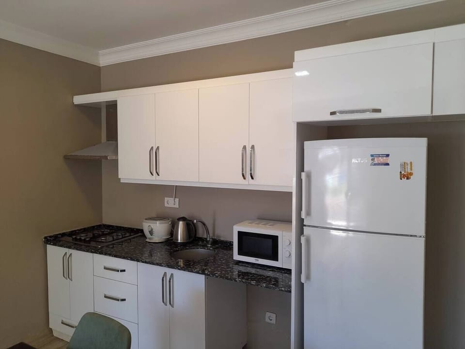 Exclusive Apartment | Private kitchen | Fridge, microwave, stovetop, dishwasher