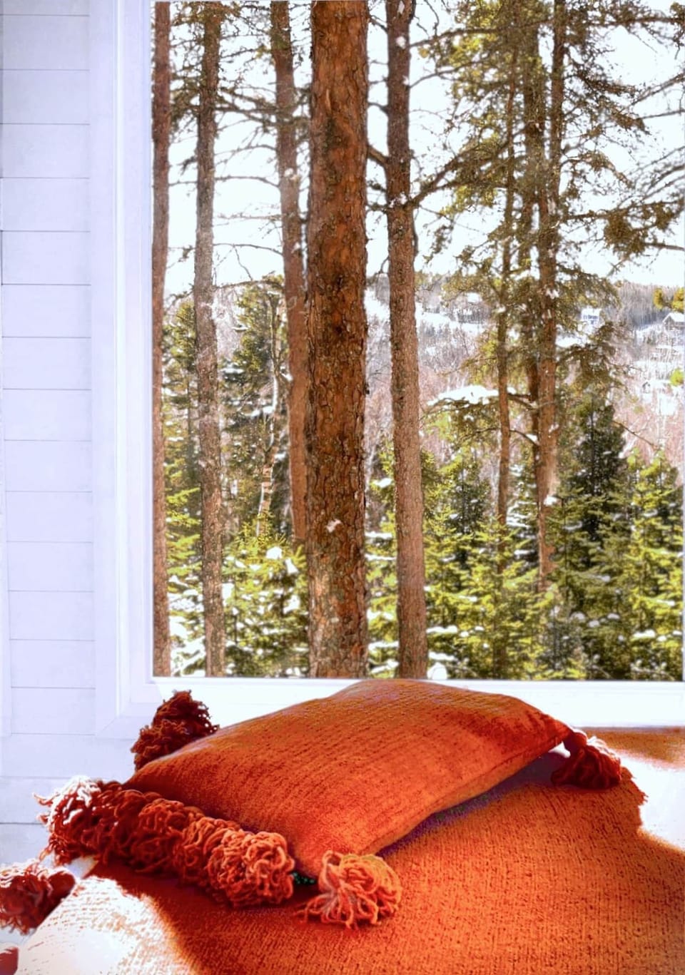 Surrounding Forest (#1)