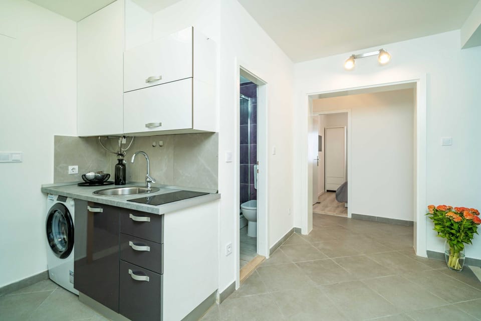 Apartment (Two Bedroom Apartment with balcony an) | Private kitchenette | Fridge