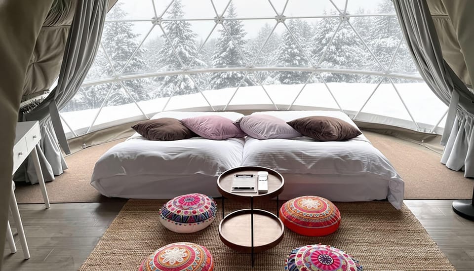 Single Dome with 2 Beds, Non Smoking | In-room safe, WiFi, bed sheets