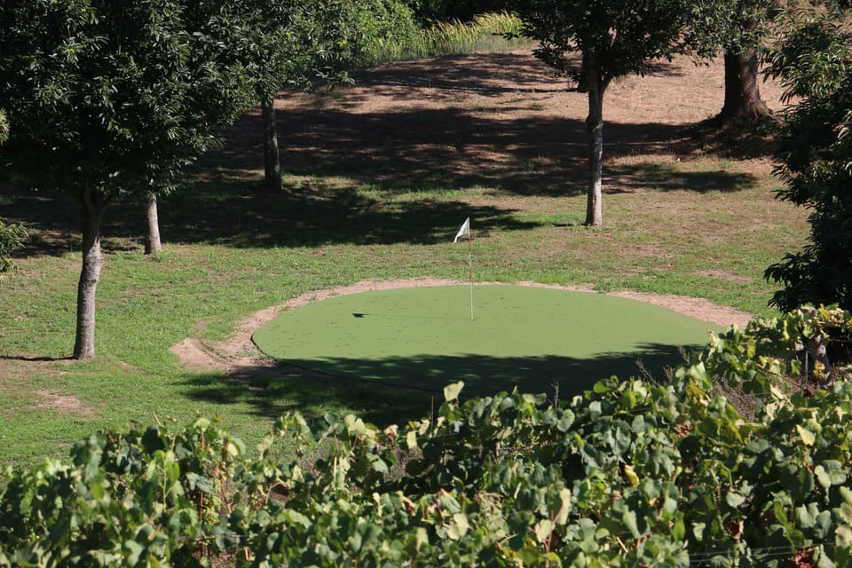 Mini-golf