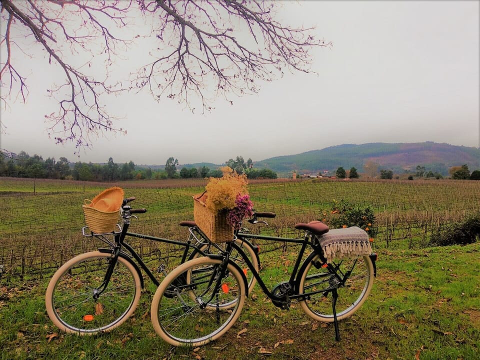 TERRA ROSA COUNTRY HOUSE & VINEYARDS Country House in Viana do Castelo District, Portugal