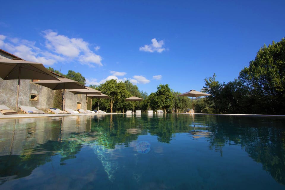 Outdoor pool, pool umbrellas, sun loungers