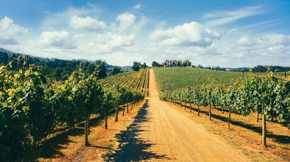 TERRA ROSA COUNTRY HOUSE & VINEYARDS Country House in Viana do Castelo District, Portugal