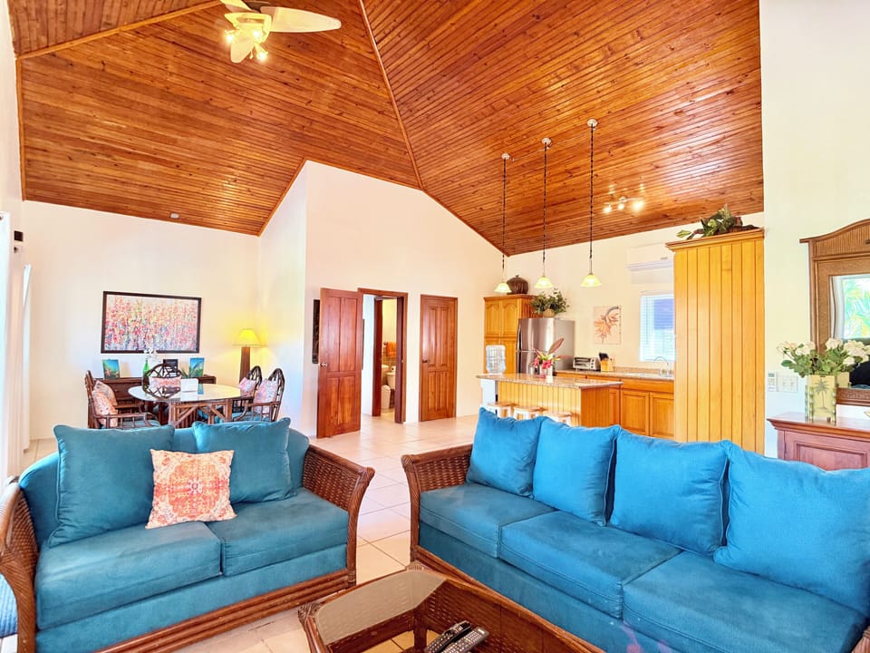 Living Room (2)