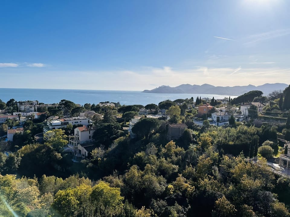 View from the terrace