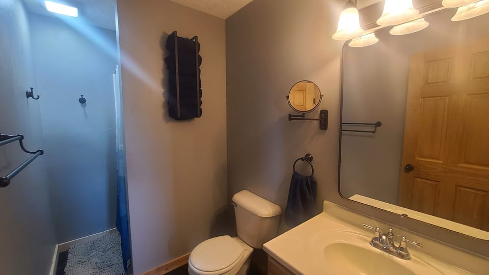 Downstairs Bathroom, Standing Shower