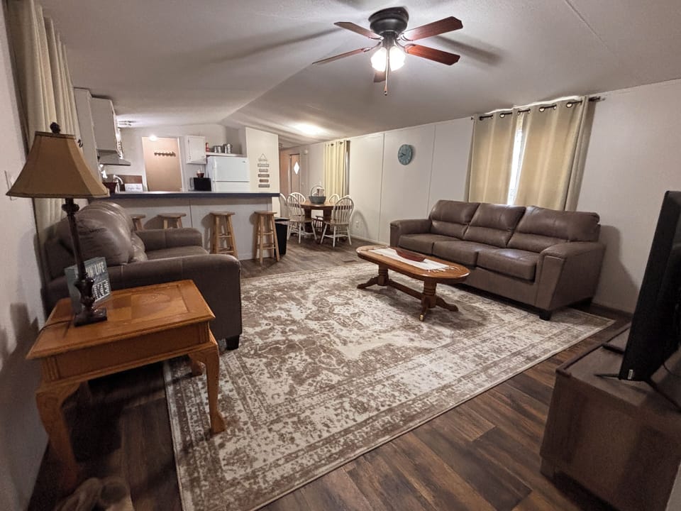 Living/Kitchen Area