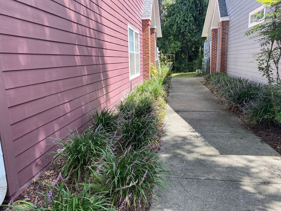 Walk way to front door.