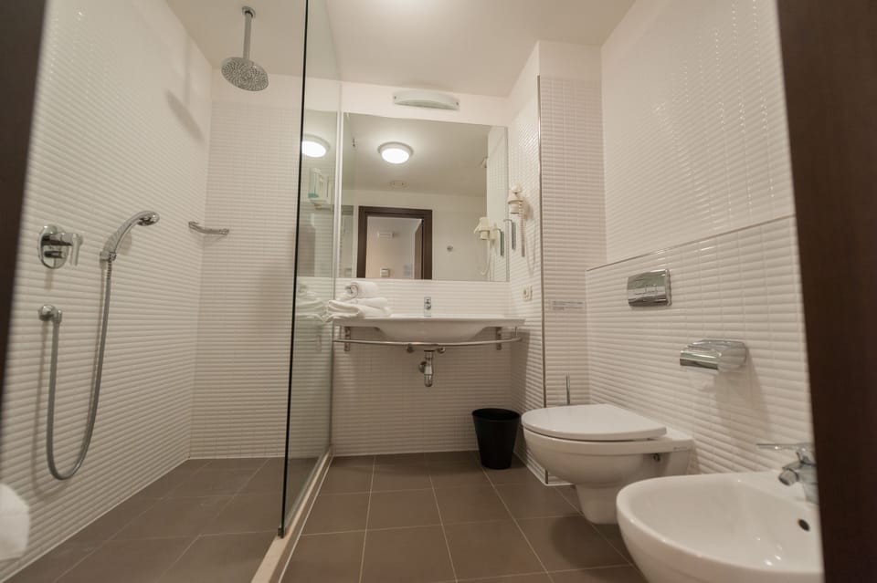 Shower, free toiletries, hair dryer, bidet