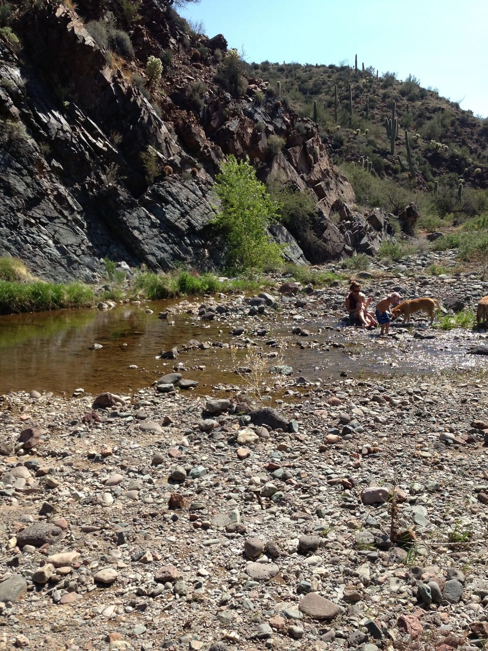 Cave Creek, last free flowing creek in Maricopa County.
