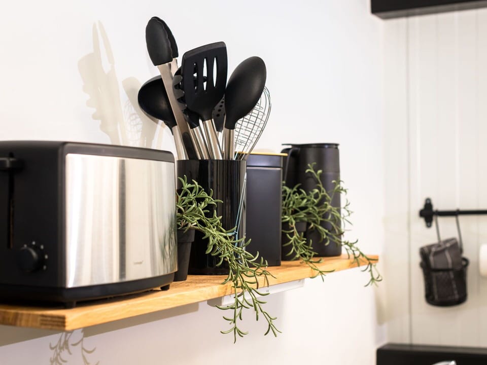 Plant, Product, Houseplant, Interior Design, Flowerpot, Wood, Audio Equipment, Shelving, Building, Table