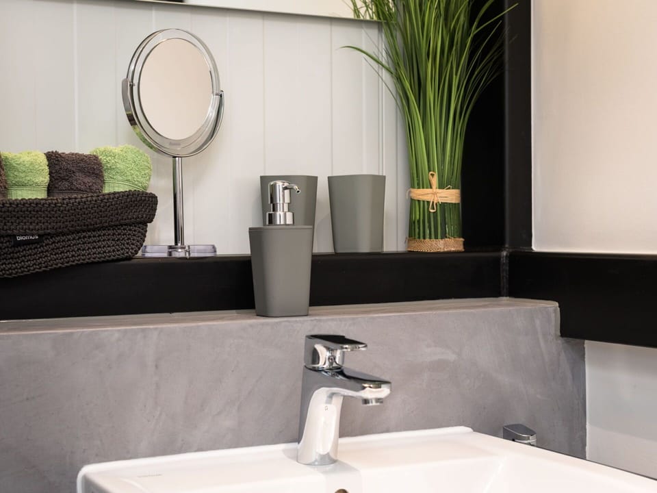 Plant, Property, Sink, Tap, Green, White, Plumbing Fixture, Black, Interior Design, Rectangle