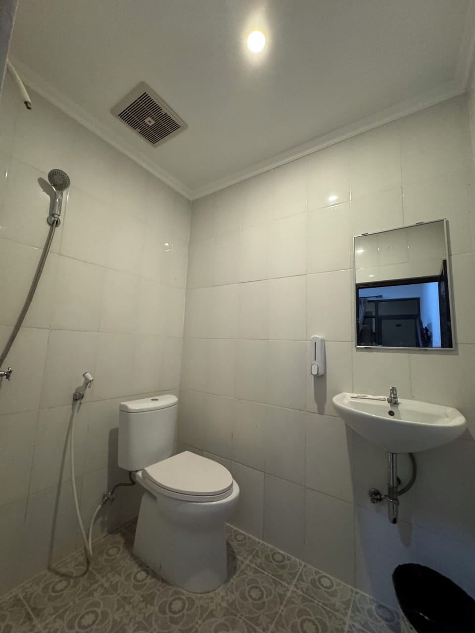 Shower, hydromassage showerhead