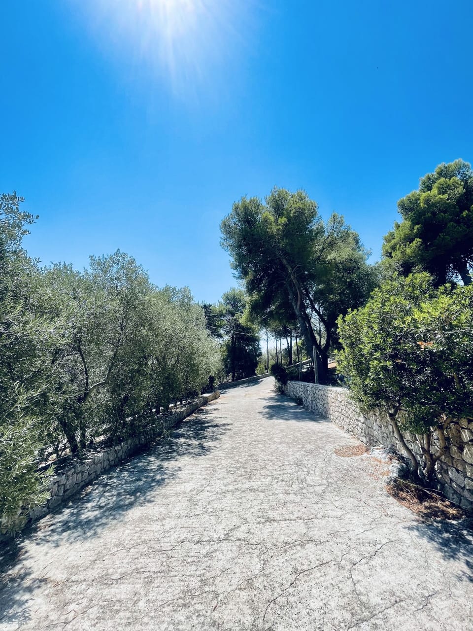 Accesso alla Villa